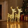 vidaXL Rennes de No&euml;l 2 pcs 80 LED Blanc chaud Acrylique