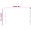 vidaXL Miroir de salle de bain &agrave; LED 50x30 cm