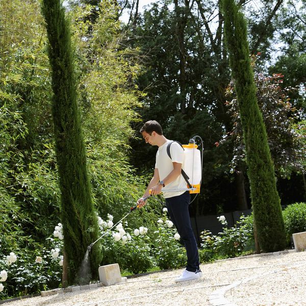 Hozelock Pulvérisateur à pression à sac à dos Pulsar Plus Comfort 12 L