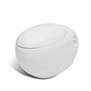 Cuvette WC suspendue blanche avec abattant