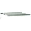 vidaXL Cadre d'auvent Vert et blanc 500 &times; 300 cm