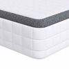 vidaXL Matelas 2 pc Moyennement doux 70 x 190 cm Blanc et Gris