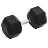 vidaXL Halt&egrave;re 30 kg Fonte