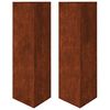 vidaXL Jardini&egrave;res 2 pcs triangulaire acier r&eacute;sistant aux intemp&eacute;ries