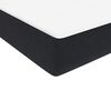 vidaXL Sommier &agrave; lattes de lit avec matelas noir 120x220 cm velours