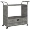 vidaXL Chariot de bar avec tiroir Gris 100x45x97 cm R&eacute;sine tress&eacute;e