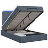 vidaXL Lit coffre avec matelas et LED Gris fonc&eacute; 120 x 200 cm Velours