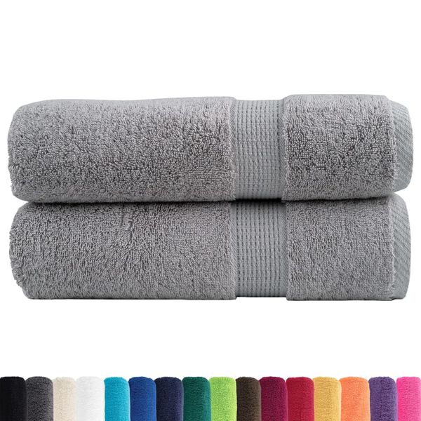 vidaXL Serviettes de douche de qualit&eacute; sup&eacute;rieure SOLUND 2 pcs gris