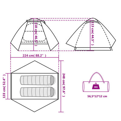 vidaXL Tente de camping à dôme 2 personne vert imperméable