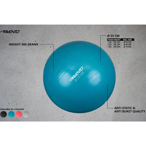Avento Ballon de fitness/d'exercice Diam&egrave;tre 55 cm Bleu