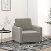 vidaXL Fauteuil Gris clair 60 cm Velours