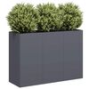 vidaXL Jardinière anthracite 120x40x80 cm acier laminé à froid