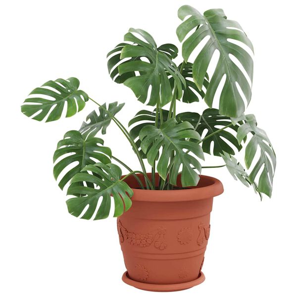 Affichage de l&rsquo;image produit 3 sur 10