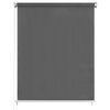 vidaXL Store roulant d'ext&eacute;rieur 80x230 cm Anthracite
