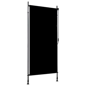 vidaXL Store roulant d'ext&eacute;rieur 100 x 270 cm Anthracite