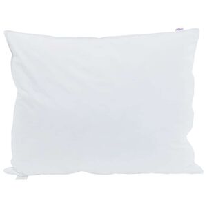 vidaXL Oreiller avec oreiller Blanc 40 x 60 cm Plume