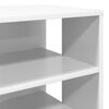 vidaXL Cabinet &agrave; chaussures avec &eacute;tag&egrave;re 2 pcs Blanc Bois d'ing&eacute;nierie