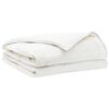 vidaXL Couette FULDA 140 x 220 cm &Eacute;t&eacute; 100 GSM 90% duvet de canard