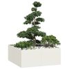 vidaXL Jardini&egrave;re blanc 100x100x40 cm acier