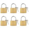vidaXL U Lock avec Cl&eacute;s 6 pi&egrave;ces Laiton Fer