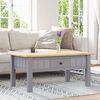 vidaXL Table basse Gris 100x60x43,5 cm Pin massif Assortiment Panama