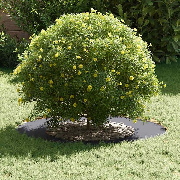 vidaXL adapt&eacute; pour anneau d'arbre plat Anthracite &Oslash;40 / 70 cm Acier