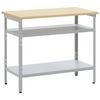 vidaXL Table de travail Gris et Beige 100 x 55 x 85 cm Acier