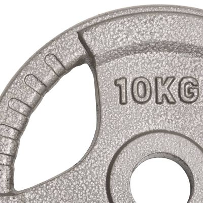 vidaXL Plaques de poids olympiques 2 pcs 20 kg Fonte