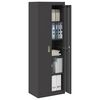 vidaXL Armoire de rangement avec stockage 2 pcs Noir 60 x 40 x 180 cm