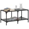 vidaXL Table basse avec dessus en verre noir 78,5x40x40 cm acier