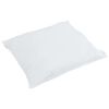vidaXL Duvet d'hiver avec oreiller 2 pcs Blanc Plume de canard