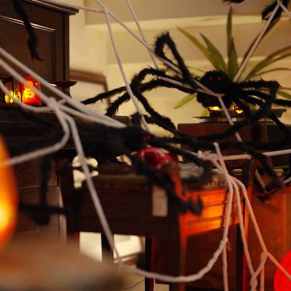 vidaXL D&eacute;coration d'araign&eacute;e d'Halloween avec toiles 2 pcs Polyester