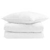 vidaXL Duvet d'été simple avec oreiller 2 pcs Blanc Plume de canard