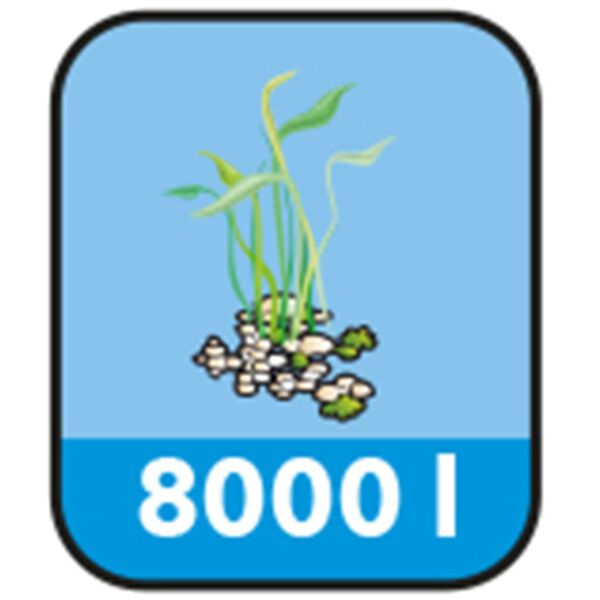 Ubbink Filtre pour bassin FiltraClear 8000 PlusSet 1355167