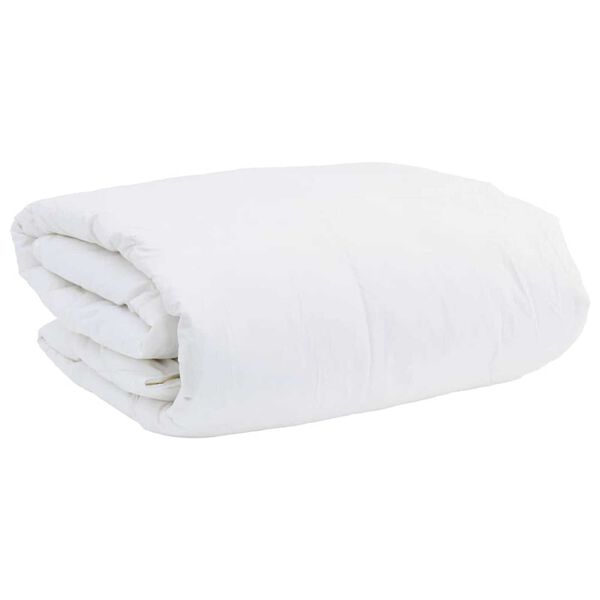vidaXL Duvet d'hiver Blanc 200 x 220 cm Plume
