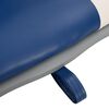 vidaXL Ensemble de si&egrave;ges de bateau pliables 2 pcs oreiller bleu blanc