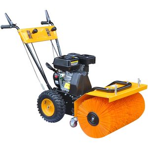 vidaXL Balayeuse multifonctionnelle &agrave; essence 6,5 CV