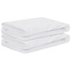 vidaXL Protector de Matelas 2 pc 200 x 220 cm Imperm&eacute;able Blanc