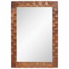 vidaXL Miroir de salle de bain Finition Acacia Brun 50 x 70 x 2,5 cm