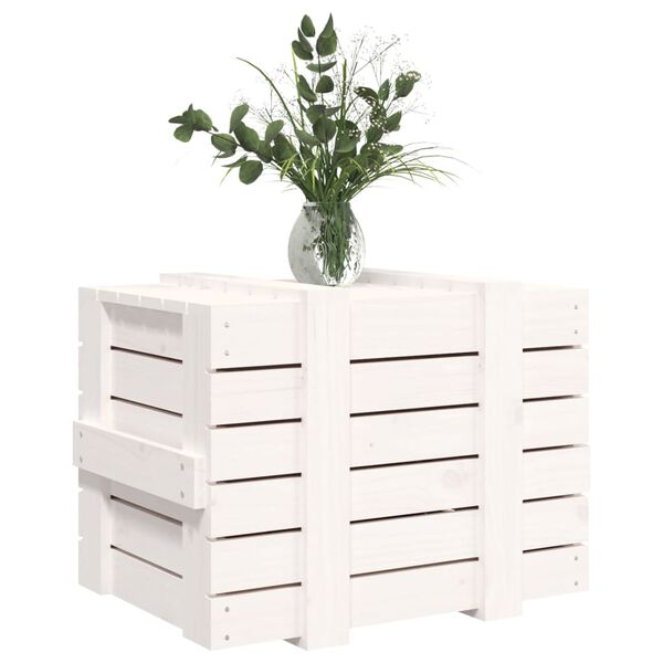 vidaXL Bo&icirc;te de rangement Blanc 58x40,5x42 cm Bois massif de pin