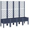 Blue_grey