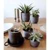 Capi Ensemble de 4 vases Nature Rib anthracite