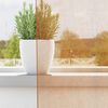 Vignette du produit 4 sur 12