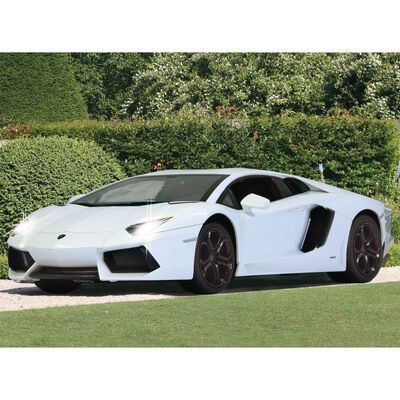 JAMARA Voiture télécommandée Lamborghini Aventador 1:14 Blanc