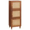 vidaXL Grand meuble Marron 40 x 33,5 x 110 cm Bois de mangue massif