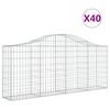 vidaXL Paniers &agrave; gabions arqu&eacute;s 40 pcs 200x30x80/100 cm Fer galvanis&eacute;