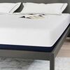 vidaXL Matelas Blanc et Bleu 200 x 200 cm Tissu jacquard