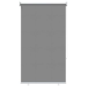 vidaXL Store roulant ext&eacute;rieur protection UV Gris clair Polyester