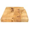 vidaXL Dessus de table 90x40x2,5 cm bord vif bois massif manguier brut