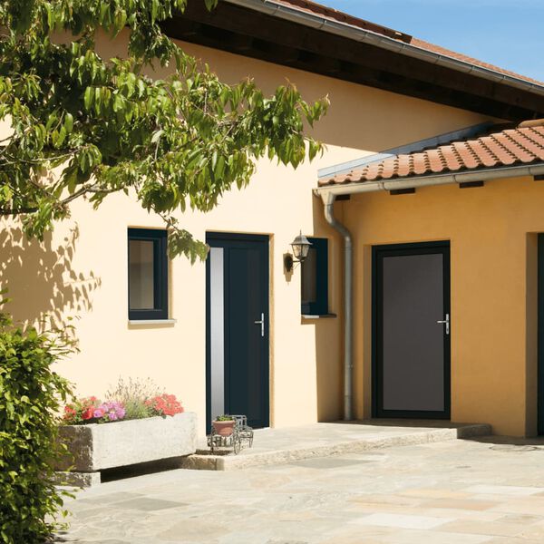 vidaXL Porte d'entr&eacute;e anthracite 108x208 cm PVC